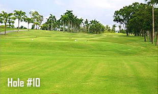 Hole #10-3