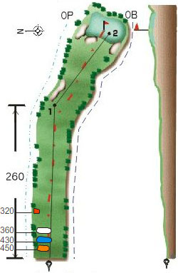 Hole #12-1