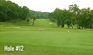 Hole #12-3