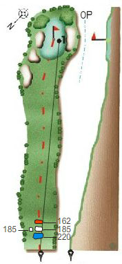 Hole #13-1