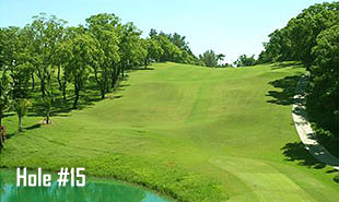 Hole #15-3