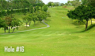 Hole #16-3