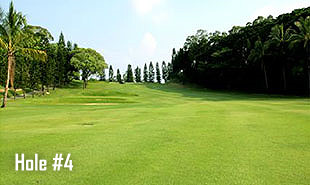 Hole #4-3