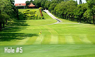 Hole #5-3