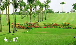 Hole #7-3