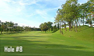 Hole #8-3